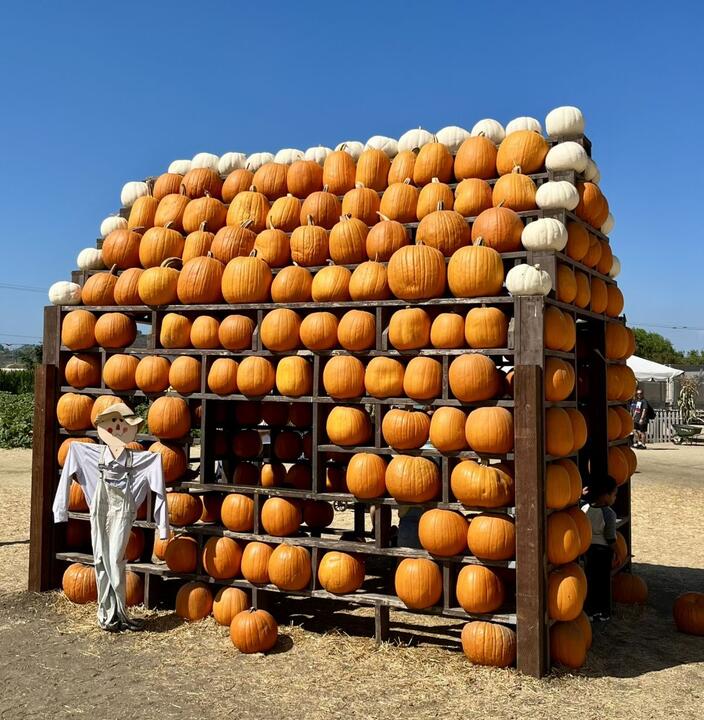 Underwood Family Farms – Herbstspaß für Familien nördlich von Los Angeles