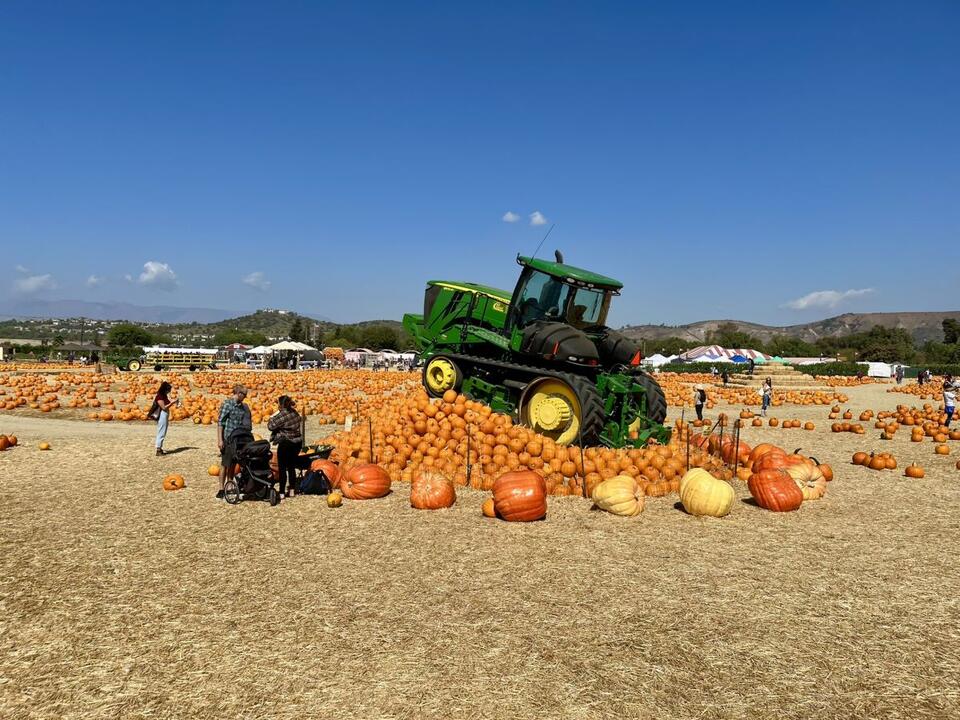 Underwood Family Farms – Herbstspaß für Familien nördlich von Los Angeles